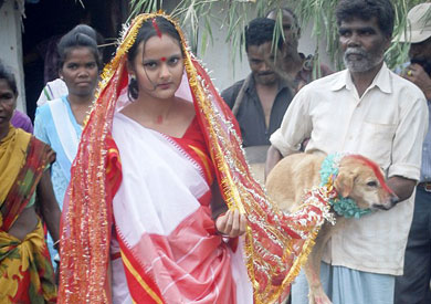 فتاة هندية تتزوج «كلبا» لمواجهة سوء الحظ